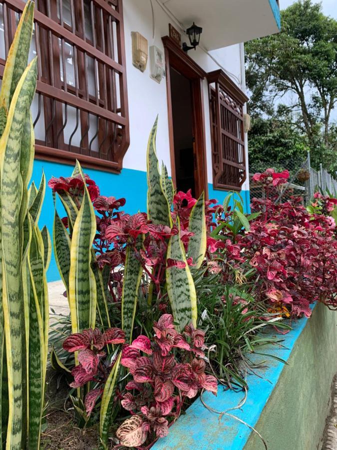 Hotel Casa Huespedes El Ensueno Jardin Exterior foto